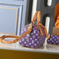 LEM341 Designer bags Mini Pillow Rowan Fashionable Crossbody Rowan Boston Pillow Bag 25.0 x 15.0 x 15.0cm
