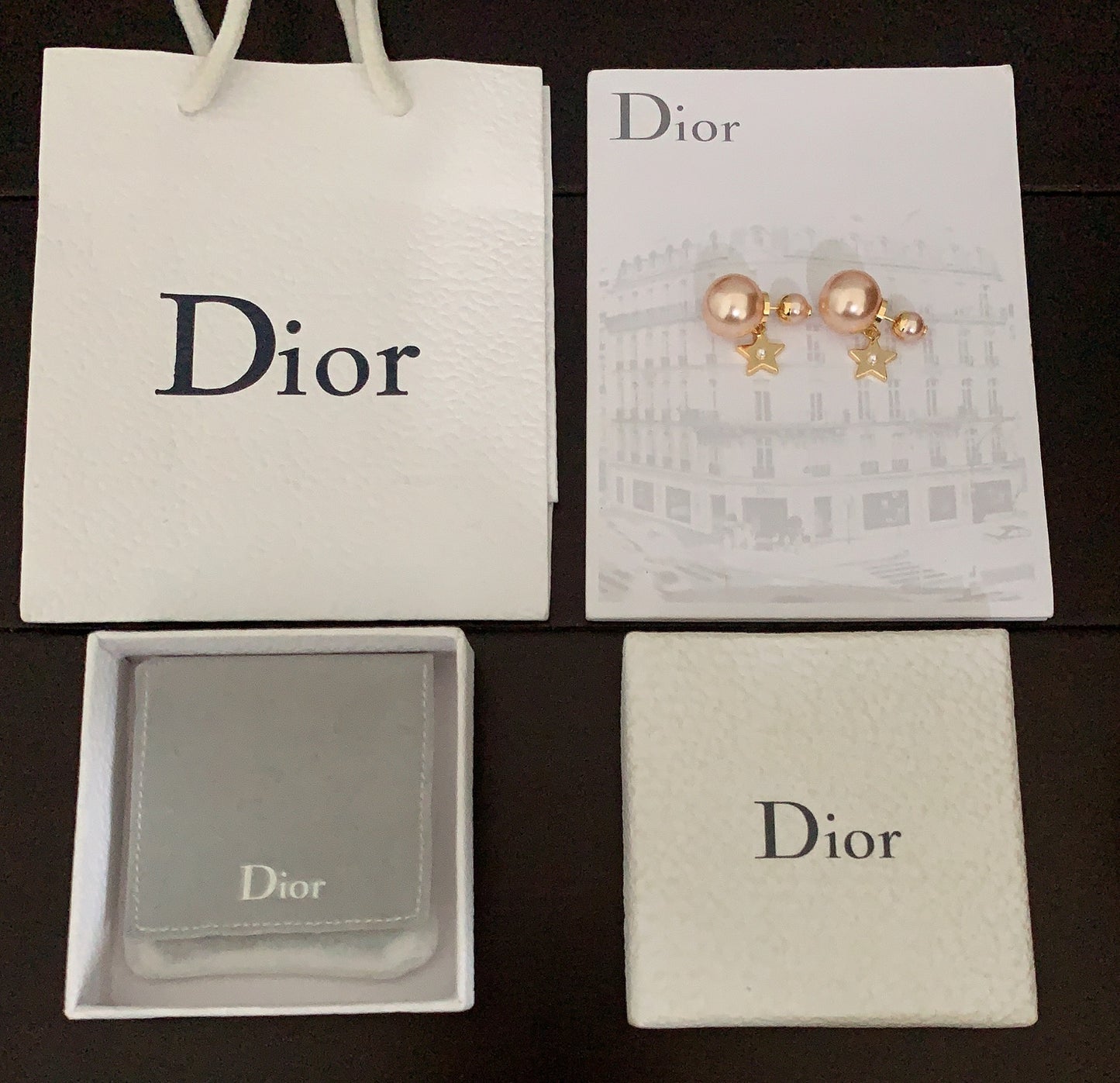 DEM221 Earring for women charm Couple Jewelry