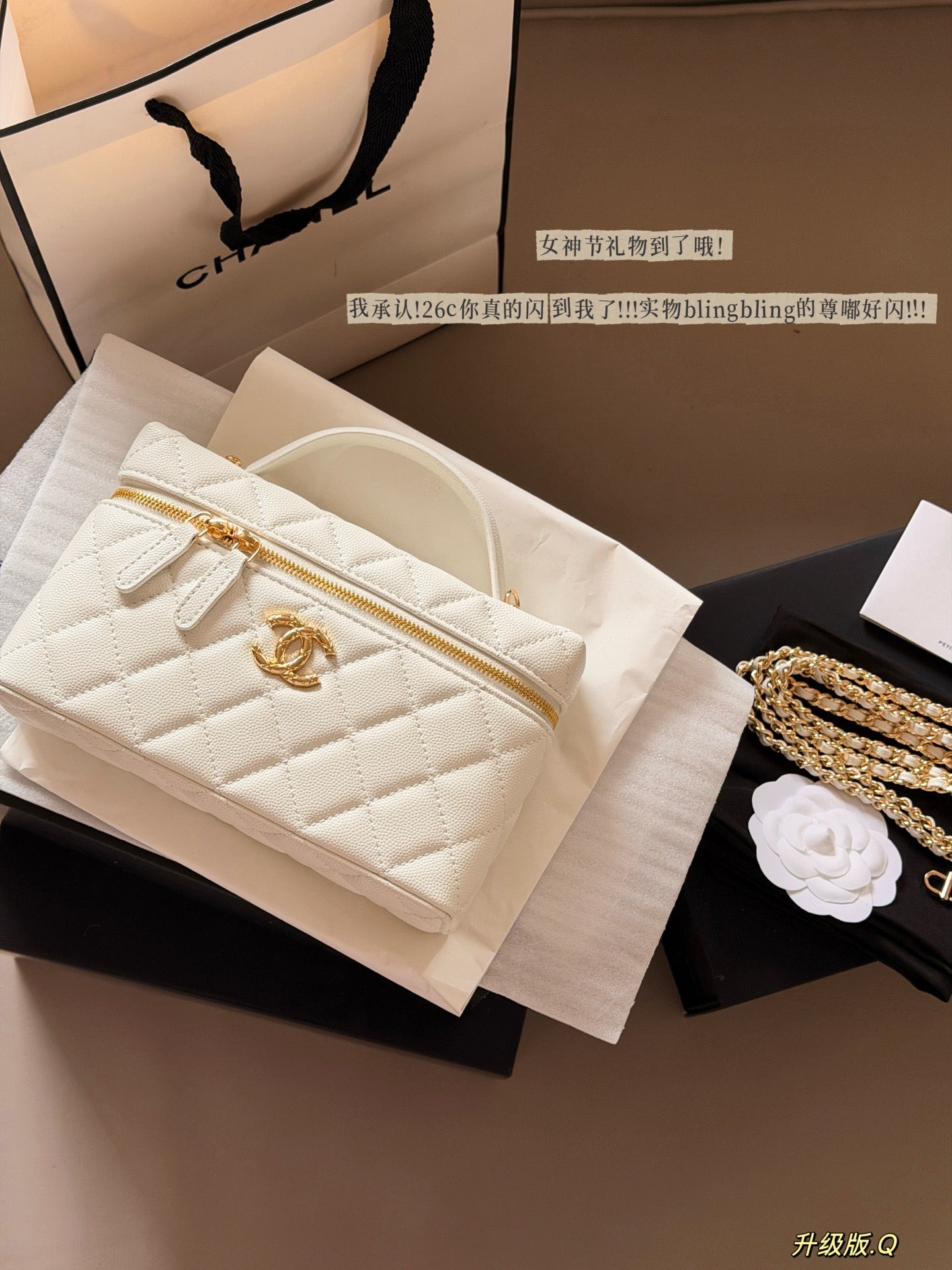 CEM245 New Designer Classic women black pink white handbag small size bag  20*12cm