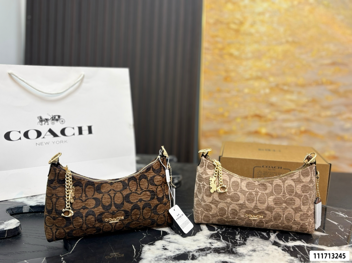 COEM15 New arrive fashion brown color bag for woman beautiful gift to choose size 23*13 cm