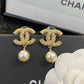 CEM224 New Arrive Fashion  Hot Sale  with Full Diamond Earring  for Woman Jewelry To Choose Gift