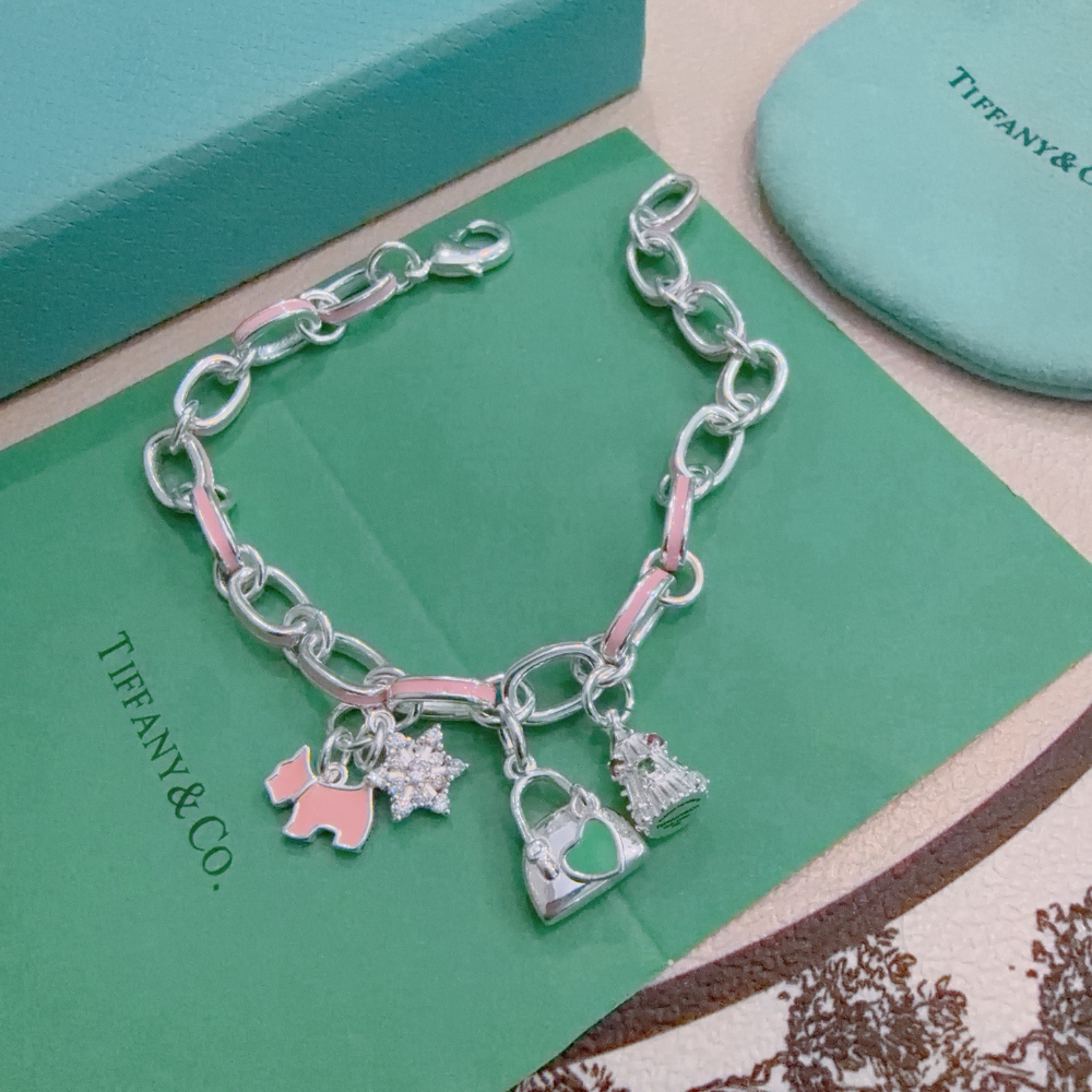 TEM66 Bracelets for women Bangles men charm bracelet Couple Jewelry