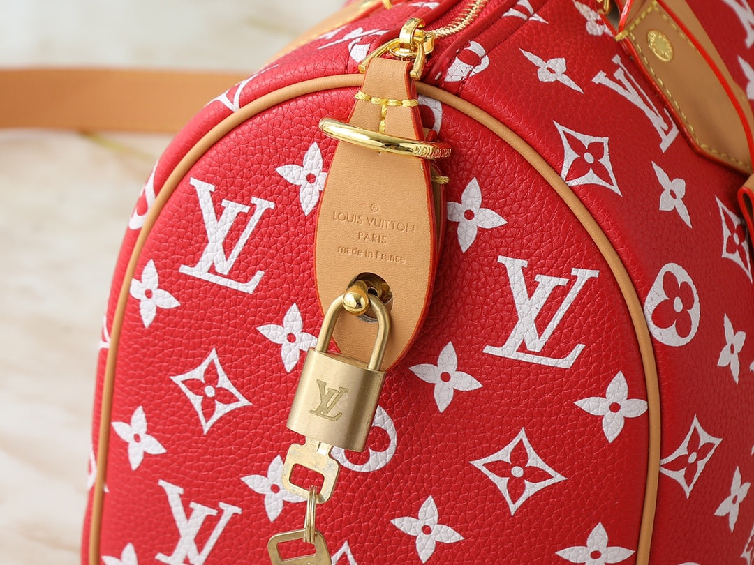 LEM341 Designer bags Mini Pillow Rowan Fashionable Crossbody Rowan Boston Pillow Bag 25.0 x 15.0 x 15.0cm