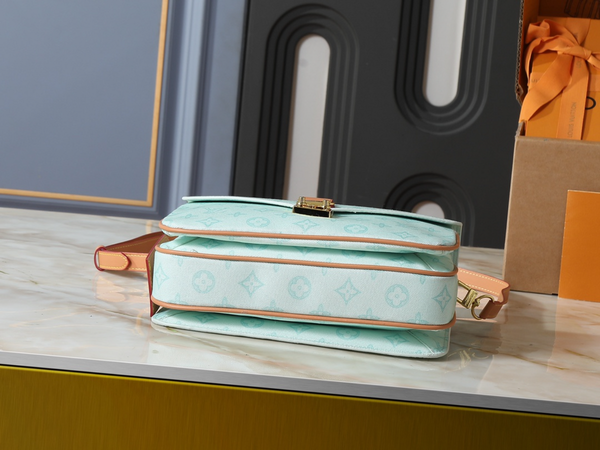 LEM637 New arrive fashion pink blue white green brown bag for woman hands bag beautiful gift to choose gift  25x19x7cm