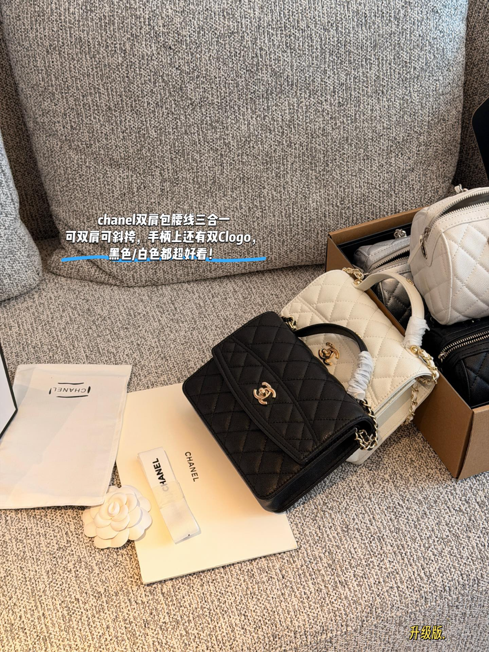CEM305 New arrive fashion black white bag for woman hands bag beautiful gift to choose gift 21*15.5cm