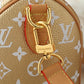 LEM341 Designer bags Mini Pillow Rowan Fashionable Crossbody Rowan Boston Pillow Bag 25.0 x 15.0 x 15.0cm
