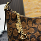 COEM15 New arrive fashion brown color bag for woman beautiful gift to choose size 23*13 cm
