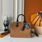LEM627 New arrive fashion caramel bag for woman hands bag beautiful gift to choose gift 2 size