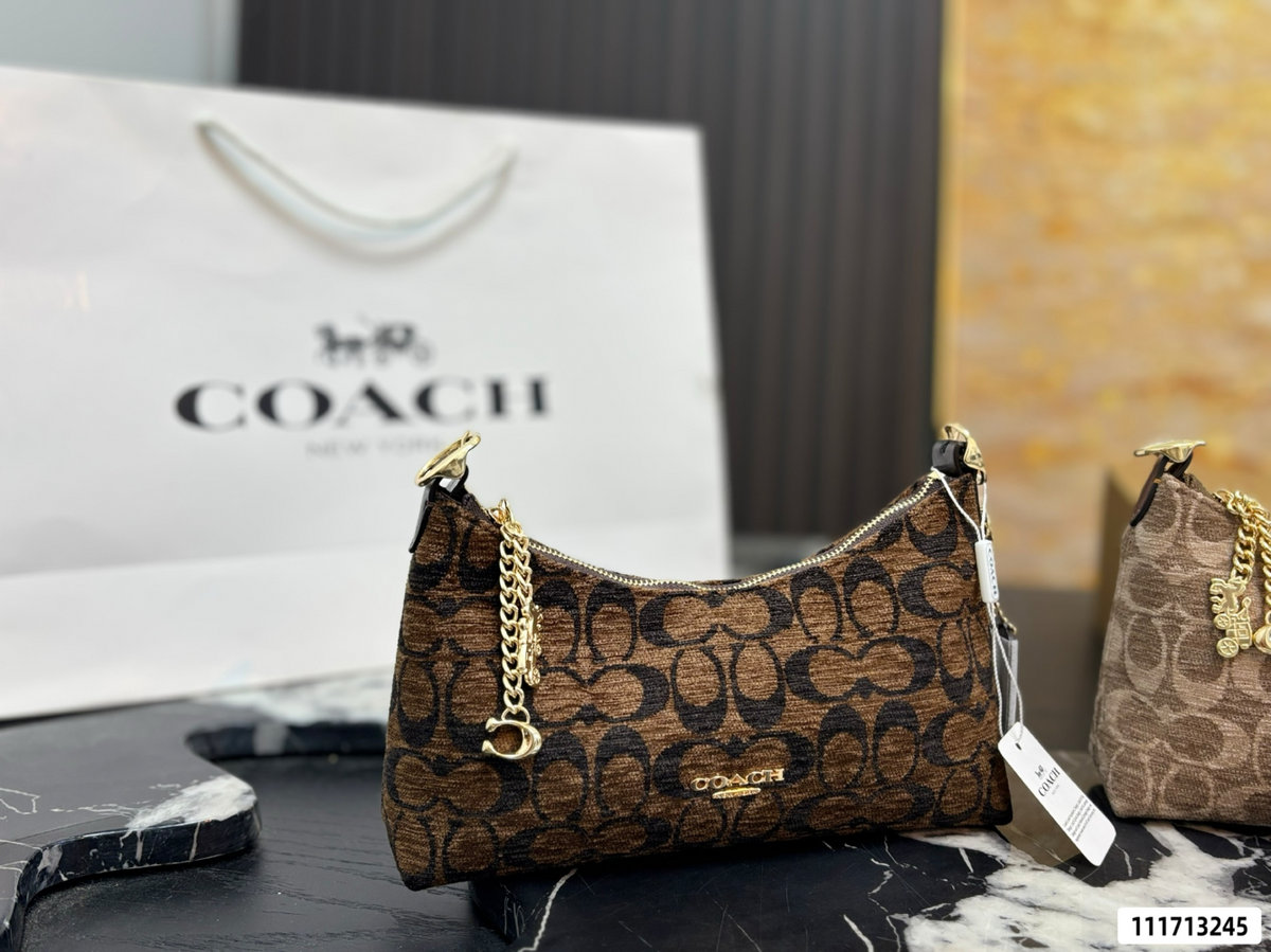 COEM15 New arrive fashion brown color bag for woman beautiful gift to choose size 23*13 cm