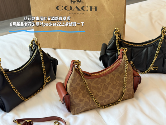 COEM08 New arrive fashion black brown bag for woman hands bag beautiful gift to choose gift 22*14cm