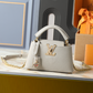 LEM410 New designer Shoulder totes Bags for womans ladies flap lady fashion casual handbag tote bag 22cm and 26cm