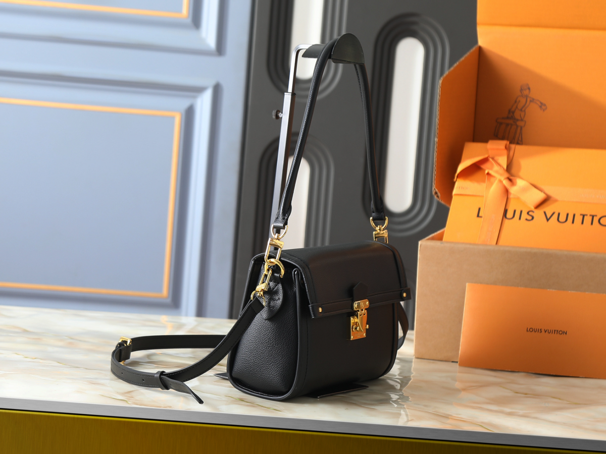 LEM590 New arrive fashion black brown color bag for woman beautiful gift to choose