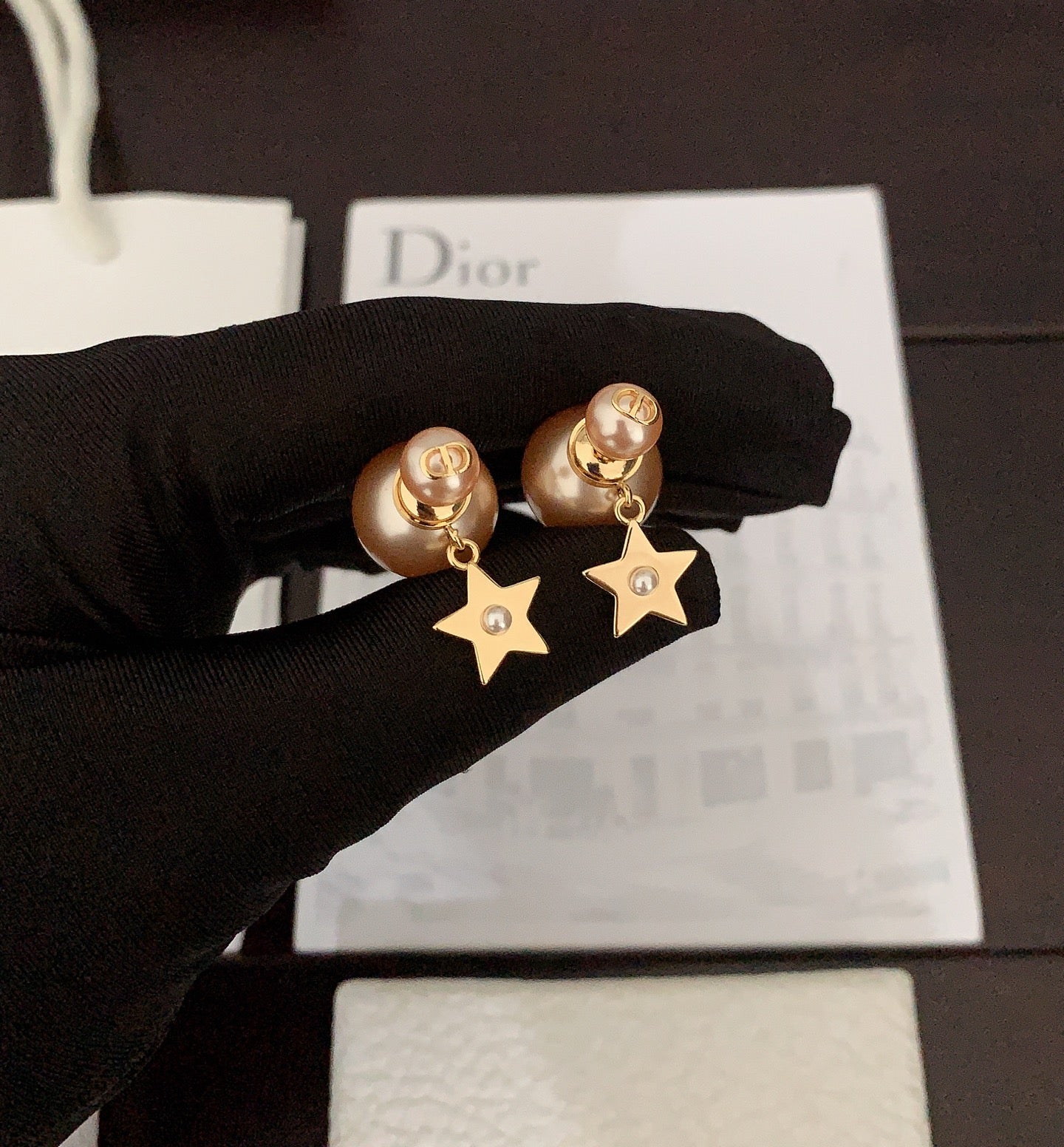 DEM221 Earring for women charm Couple Jewelry