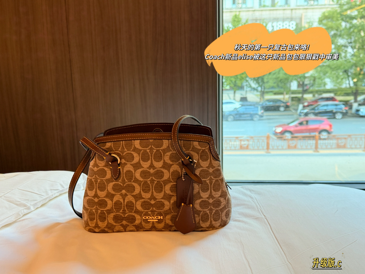 COEM17  New arrive fashion caramel color bag for woman beautiful gift to choose 28*16cm
