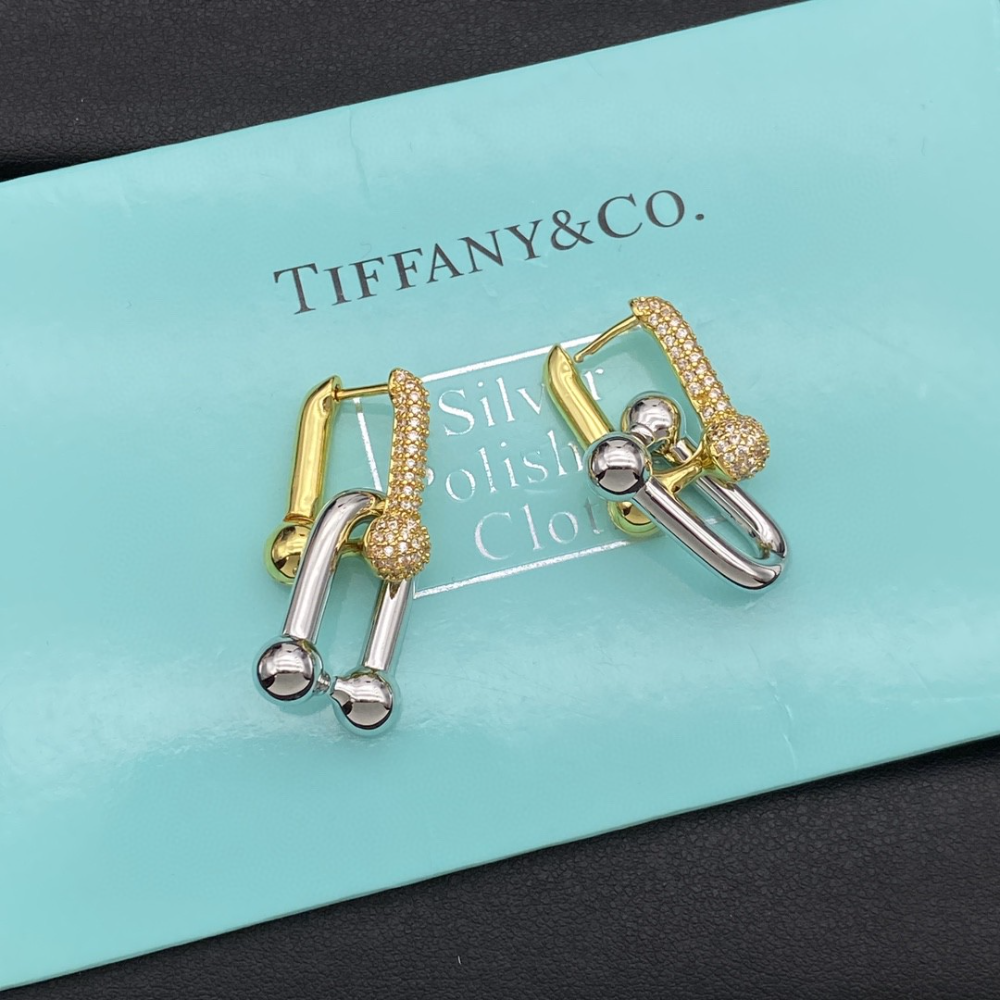 TEM70 earing for women  men charm Couple Jewelry