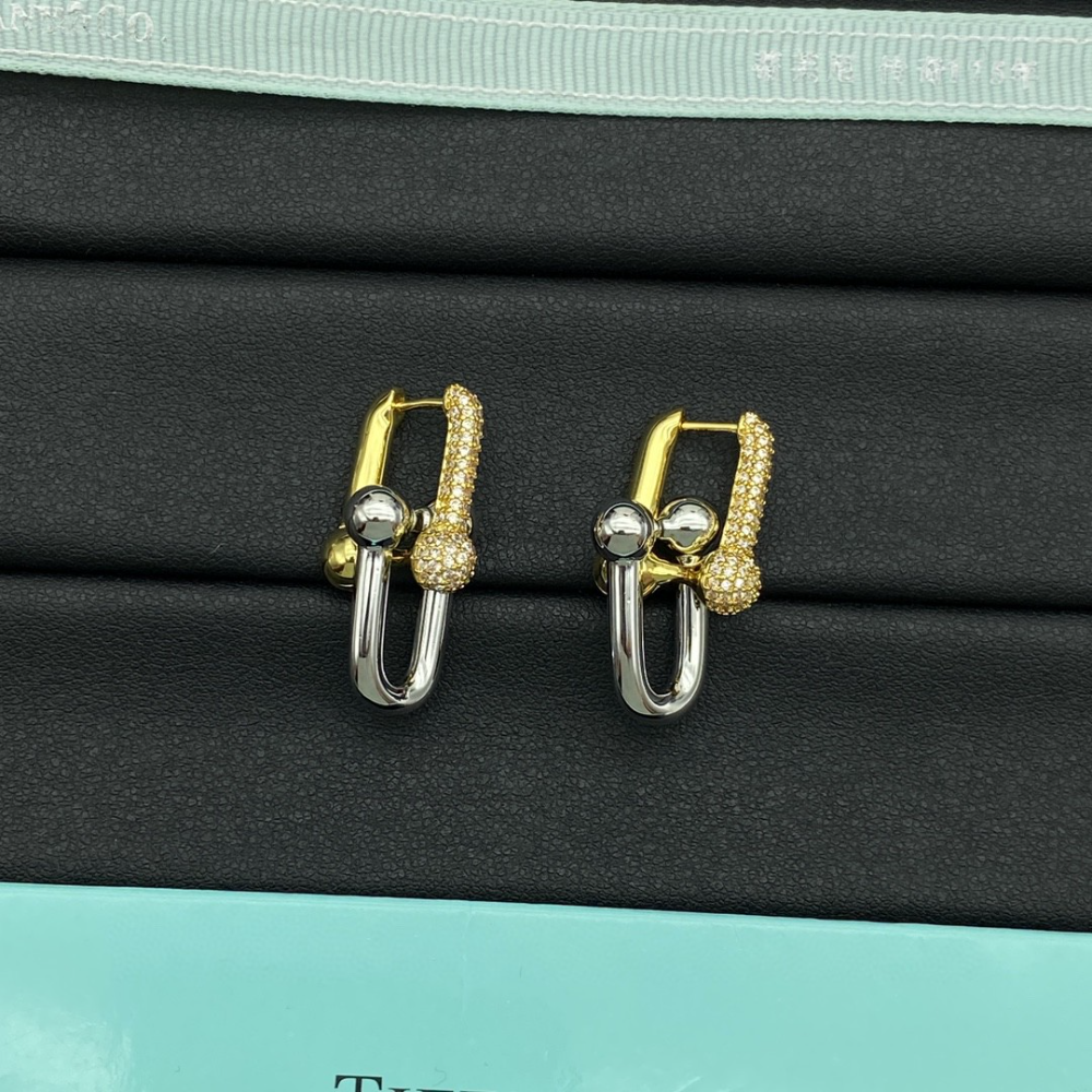 TEM70 earing for women  men charm Couple Jewelry